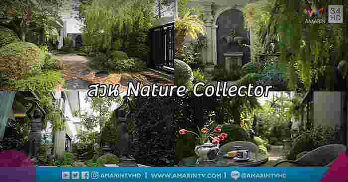 ความชอบนำพามาสู่แรงบันดาลใจในการตกแต่งสวน Nature Collector สวนที่รายล้อมด้วยของสะสมสวยงามประดับประดาอยู่มากมาย