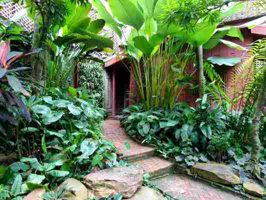 Tropical Garden จัดสวนรอบบ้านให้เหมาะกับภูมิอากาศร้อนชื้น